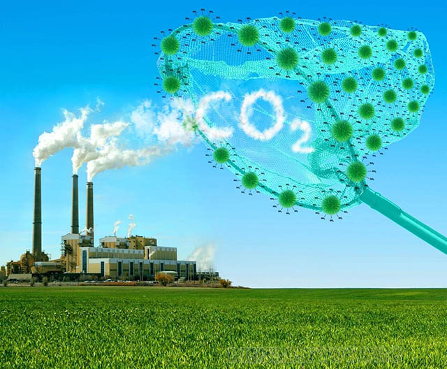 CO2 - nguyên nhân chủ yếu gây ra hiệu ứng nhà kính 
