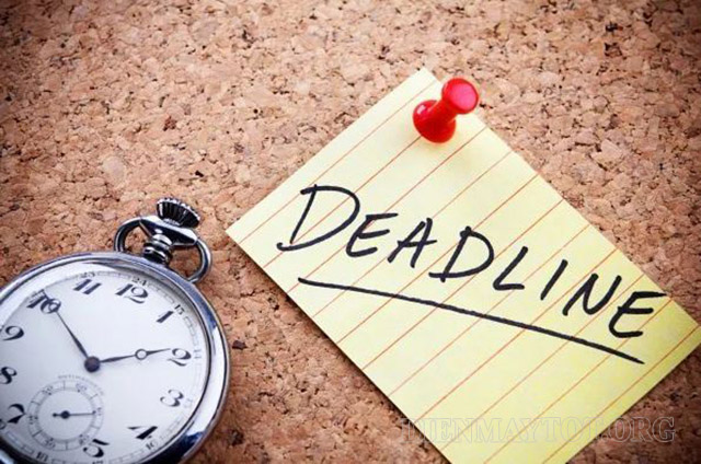 Chạy deadline là gì?